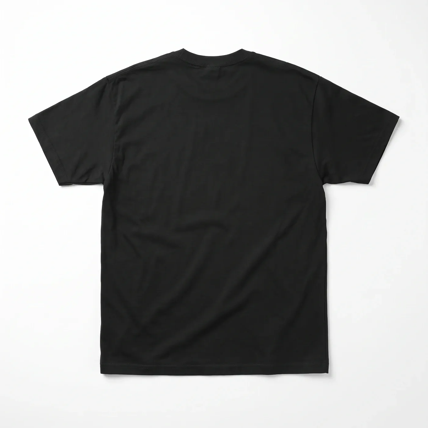WASTELAND Tee in Black, laid flat, back